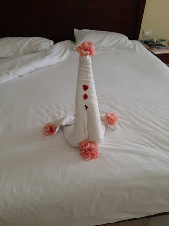 Zimmer Casa Mare Resort