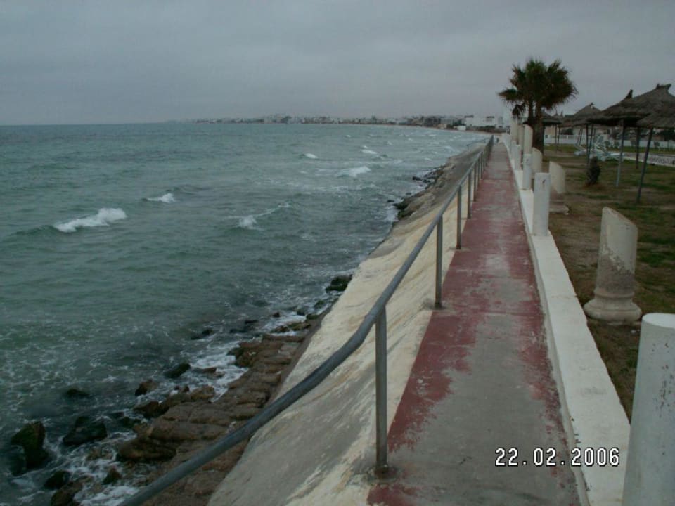 Direkt am Meer Hotel El Hana Palace