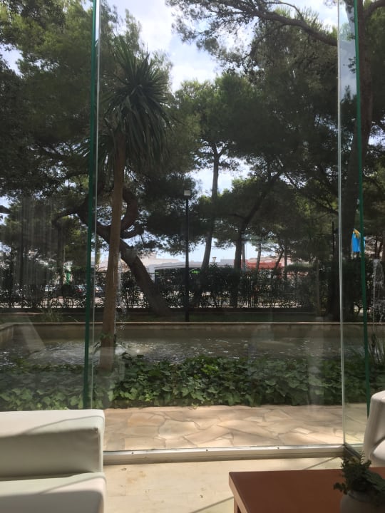 Gartenanlage Hotel Zafiro Alzinar Mar