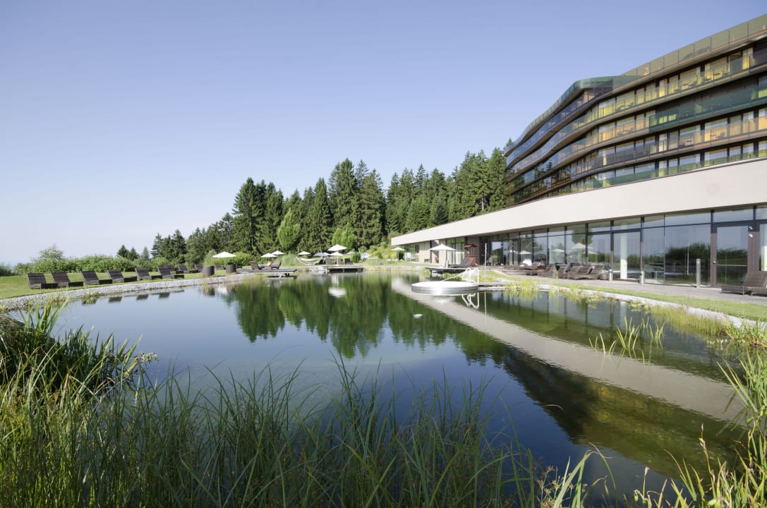 Pool AVIVA make friends