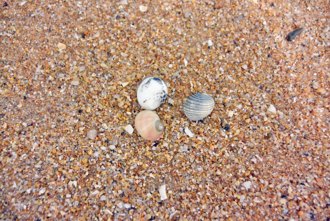 Strand Khaolak Orchid Beach Resort