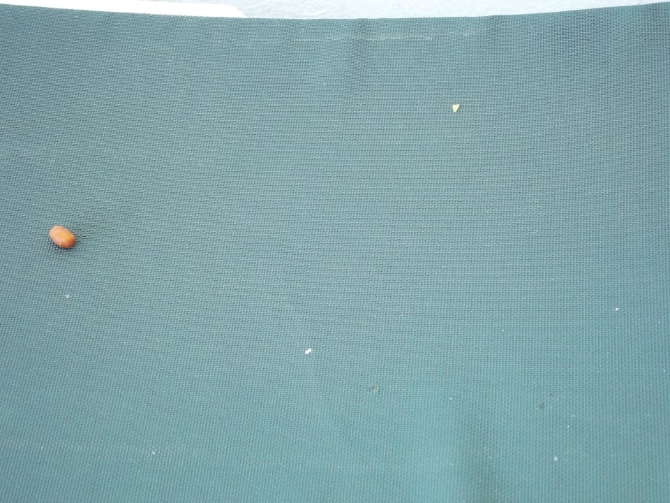 So sahen die Auflagen der Balkonliege 14 Tage aus The Orangers Beach Resort and Bungalows