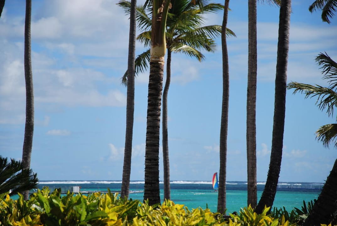 Wido z basenu Barceló Bávaro Palace