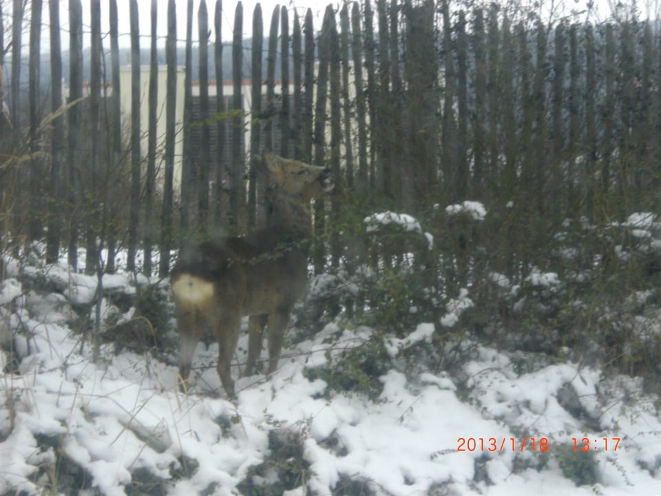 Blick aus dem Schwimmbad richtung Volleyball Feld  Center Parcs Park Hochsauerland