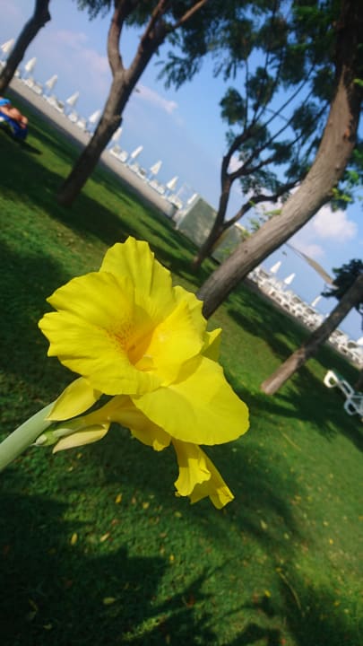 Gartenanlage Labranda Alantur Resort