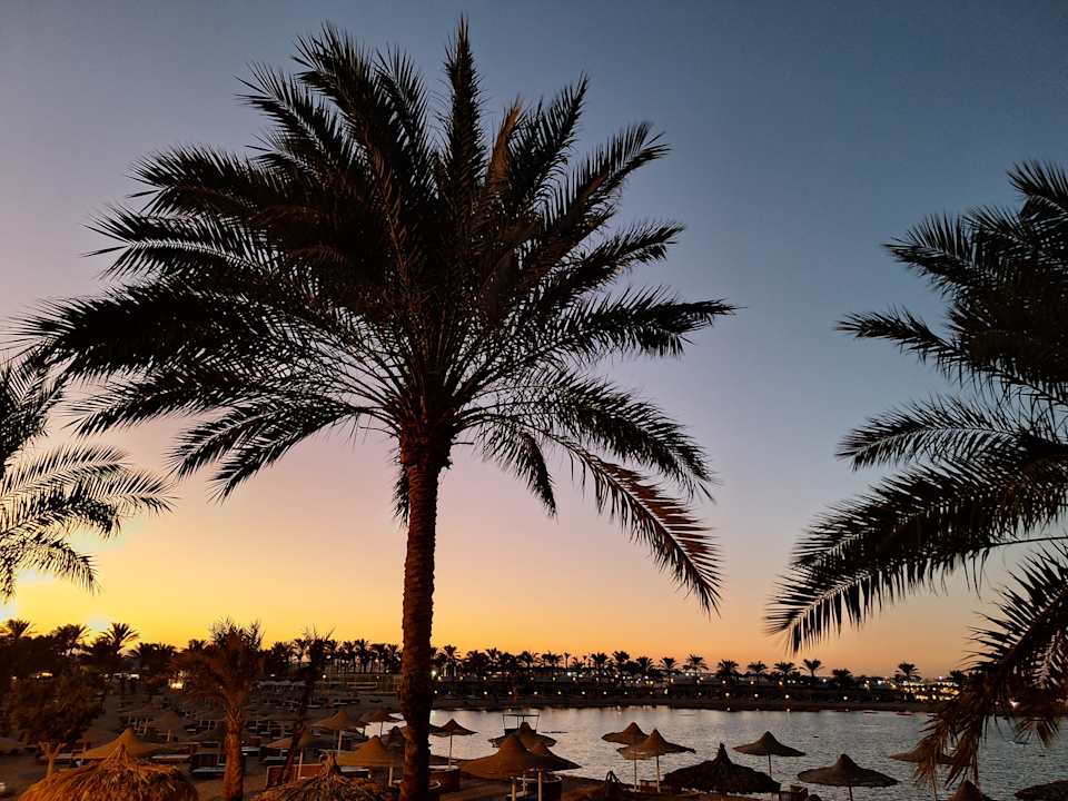 Ausblick Desert Rose