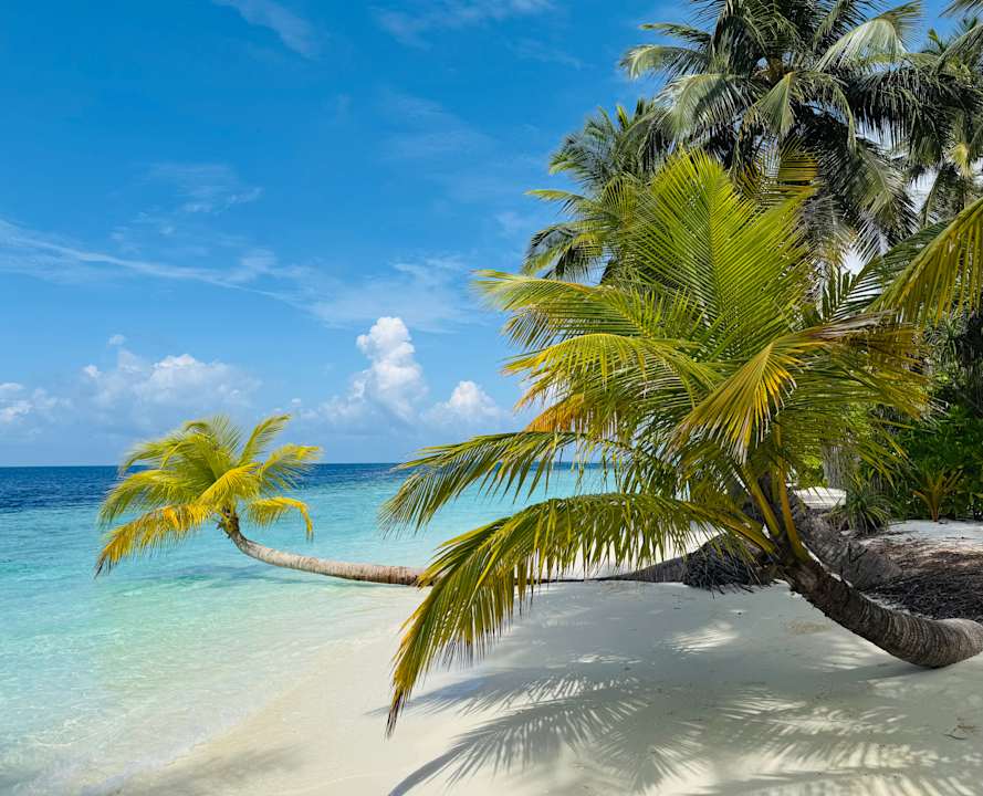 Strand Vilamendhoo Island Resort & Spa