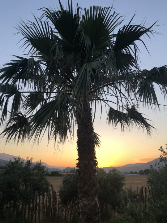 Ausblick HARPIN Georgioupolis Resort Aquapark & SPA