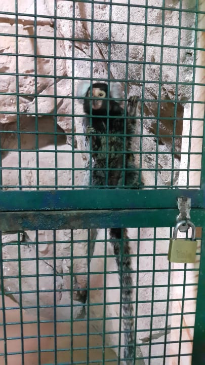 Zoo Hotel Emirates Park Resort