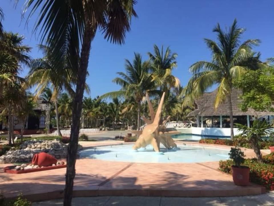 Poolanlage Hotel Sol Cayo Santa Maria