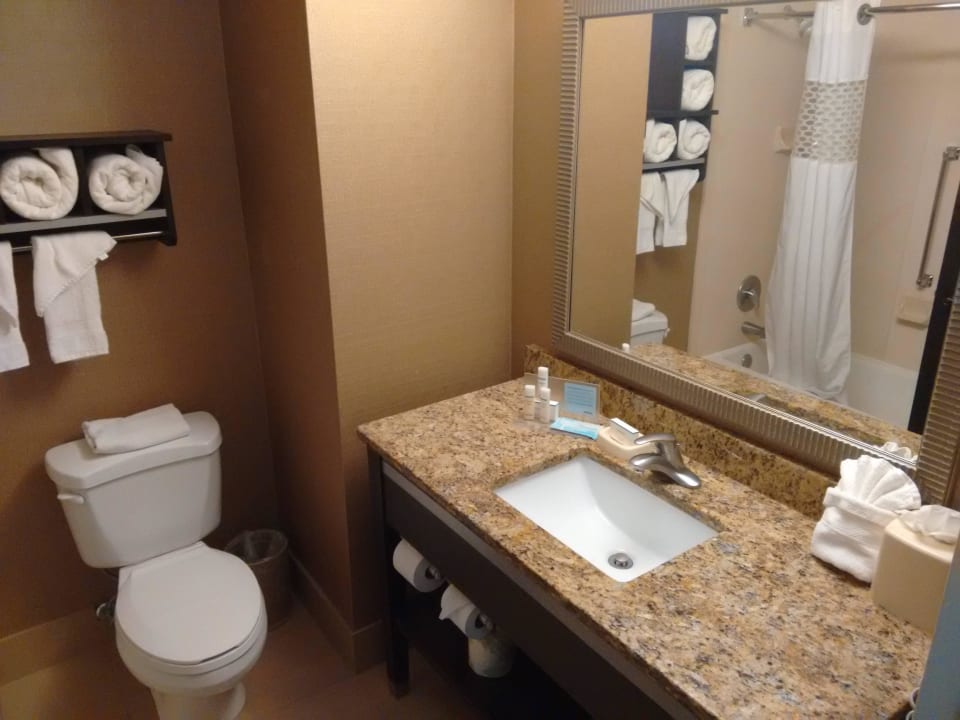 Badezimmer Hampton Inn Ft. Myers-Airport I-75