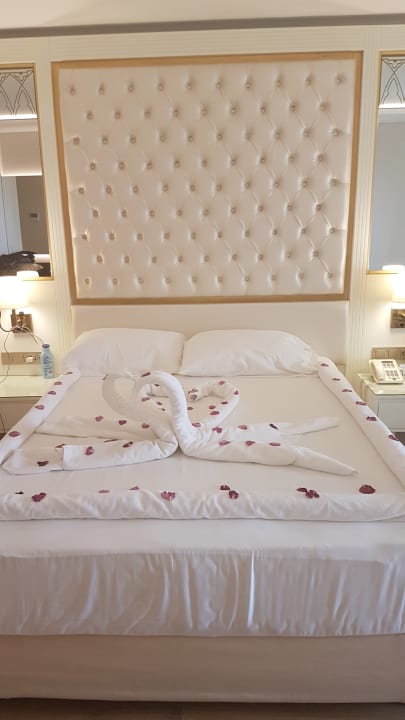 Zimmer Haydarpasha Palace