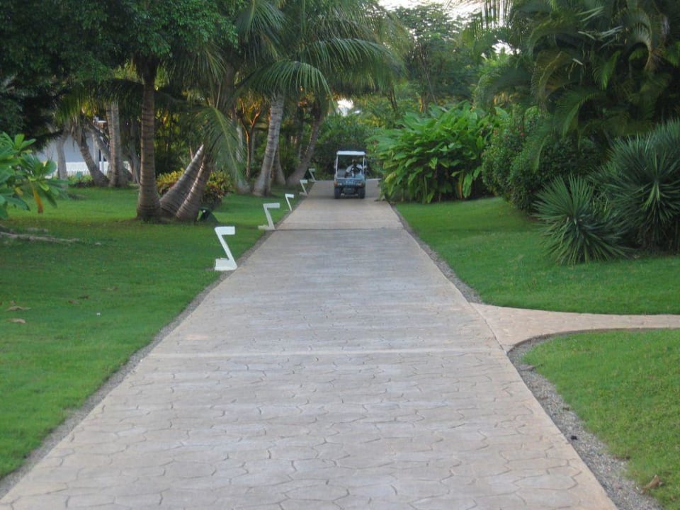 Verkehr in der Anlage Catalonia Punta Cana - All Inclusive