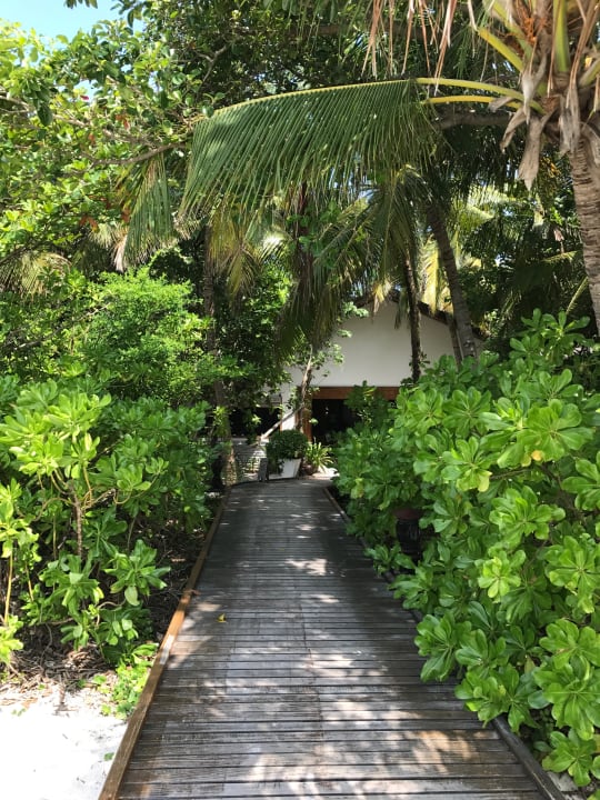Gartenanlage Reethi Beach Resort