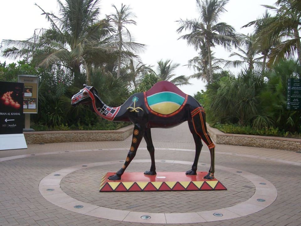Dromedar Jumeirah Beach Hotel
