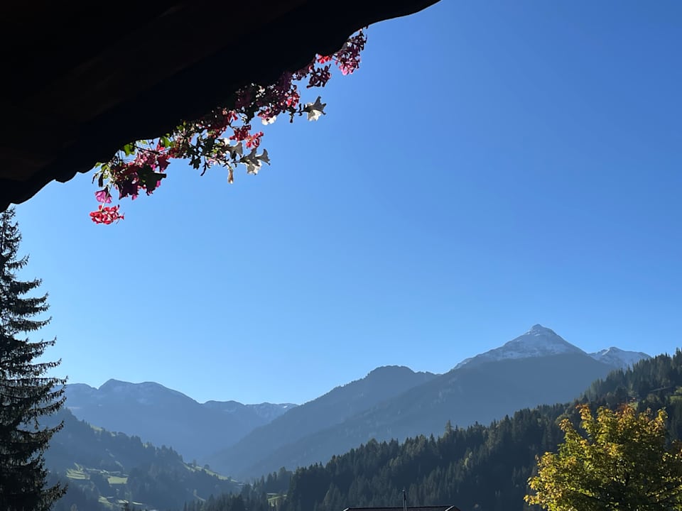 Ausblick Gästehaus Weiherhof