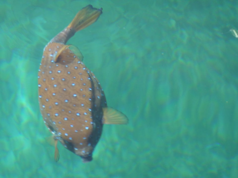 Zdjęcie zrobione z pomostu Hotel Titanic Palace