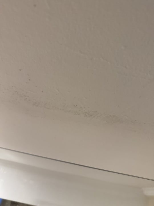 Zimmer Crystal Prestige Elite