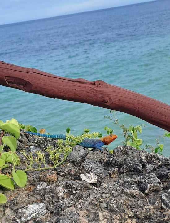 Sonstiges Bahari Beach Hotel