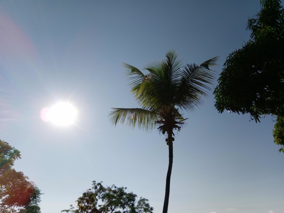 Ausblick Ozeanic Caribbean Hotel Apartment