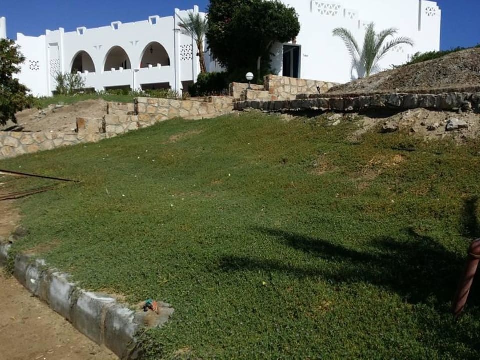 Schmetterlinge vor der Tauchstation Three Corners Equinox Beach Resort