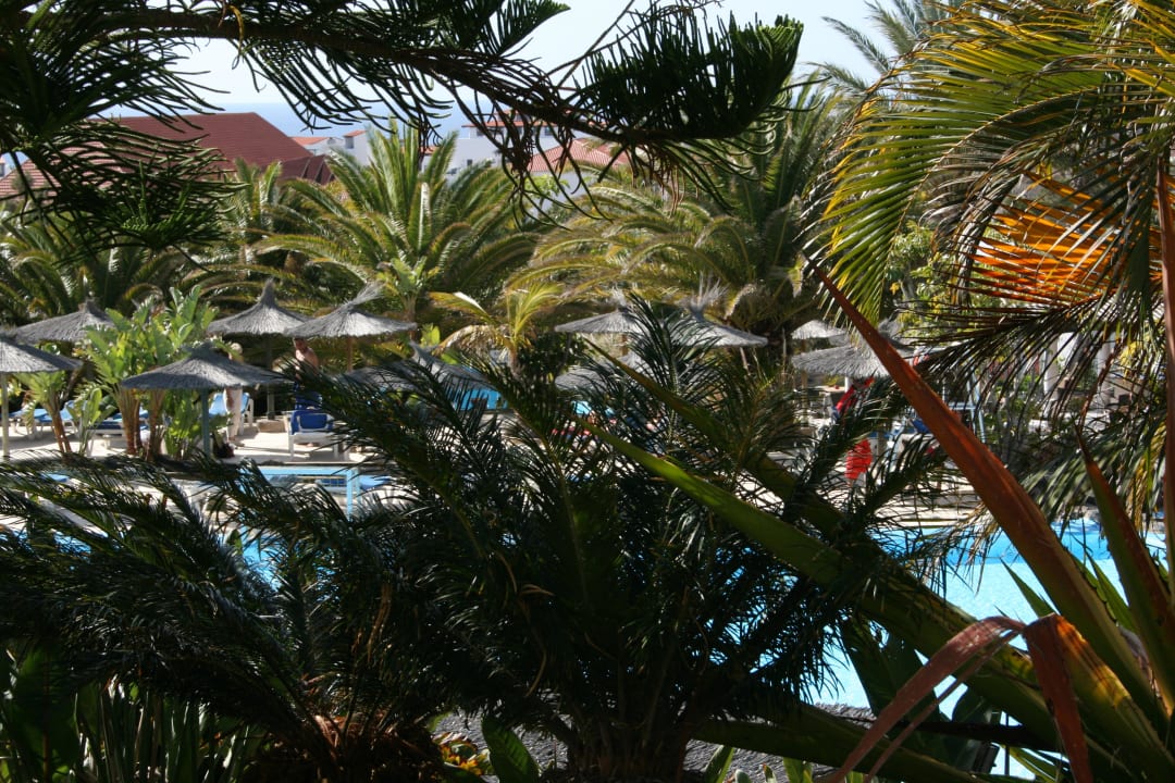 Sag es durch die Palmen allsun App.-Hotel Esquinzo Beach