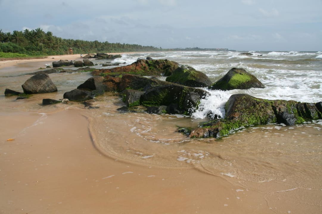 Strand in Richtung Süden Hotel Lanka Princess Ayurveda