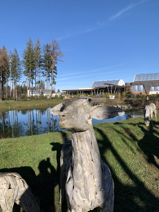 Außenansicht Center Parcs Park Allgäu