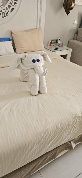 Zimmer The Grand Palace - Adults only