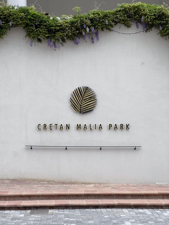 Sonstiges Phãea Cretan Malia