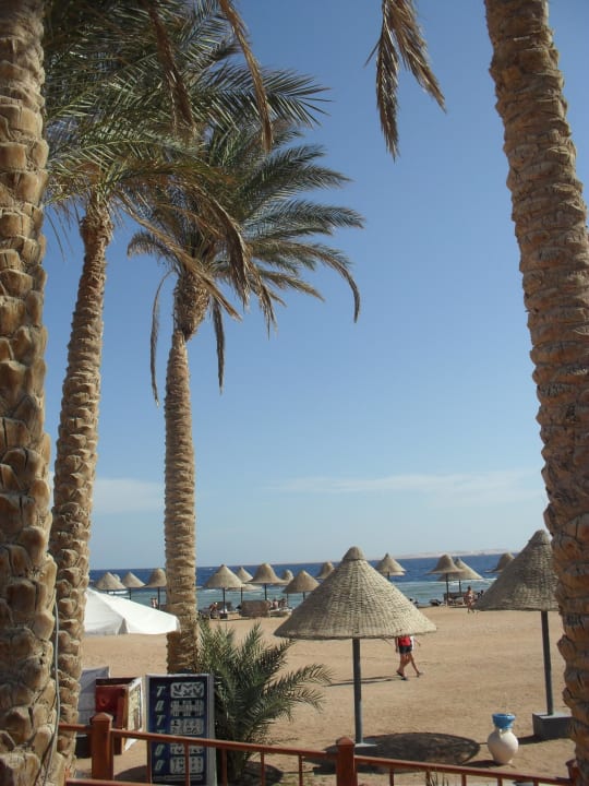 Plaża Parrotel Beach Resort