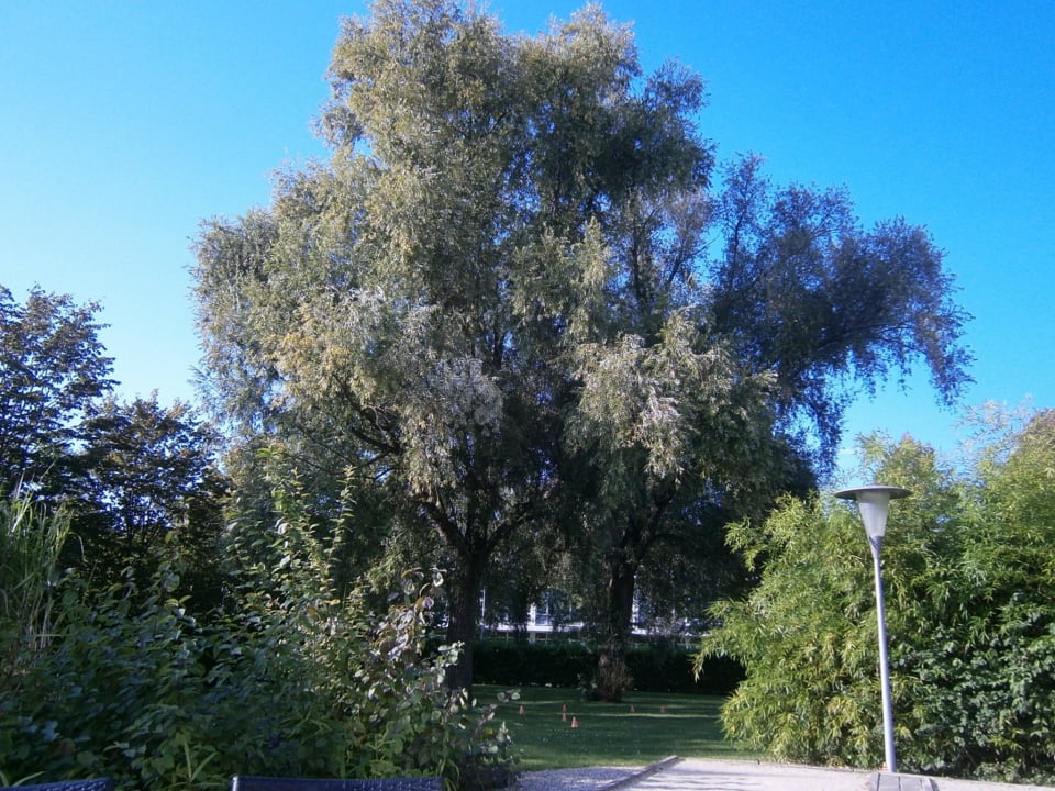 Garden , a place for relaxing Hotel Novotel Maastricht
