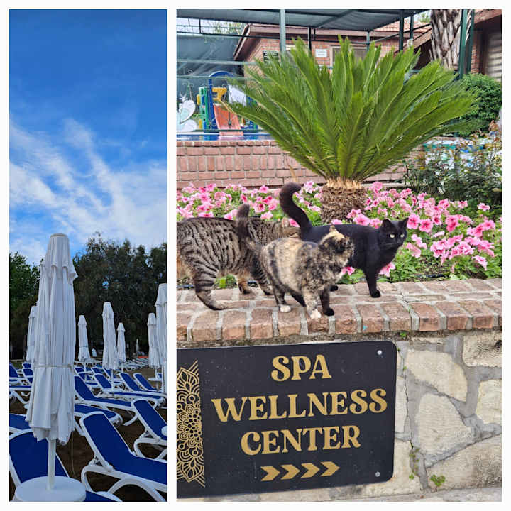 Außenansicht Can Garden Beach