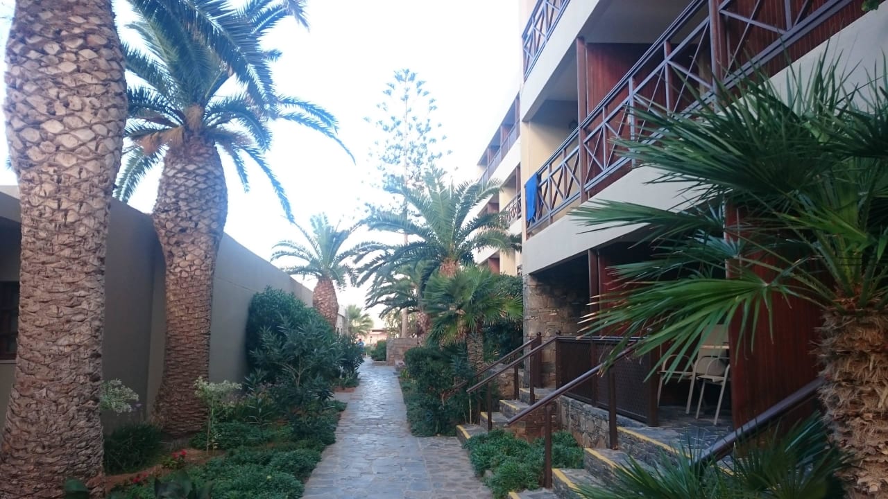 Ogród allsun Hotel Malia Beach