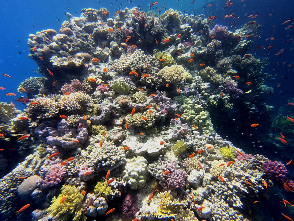 Sport & Freizeit Three Corners Sea Beach Resort