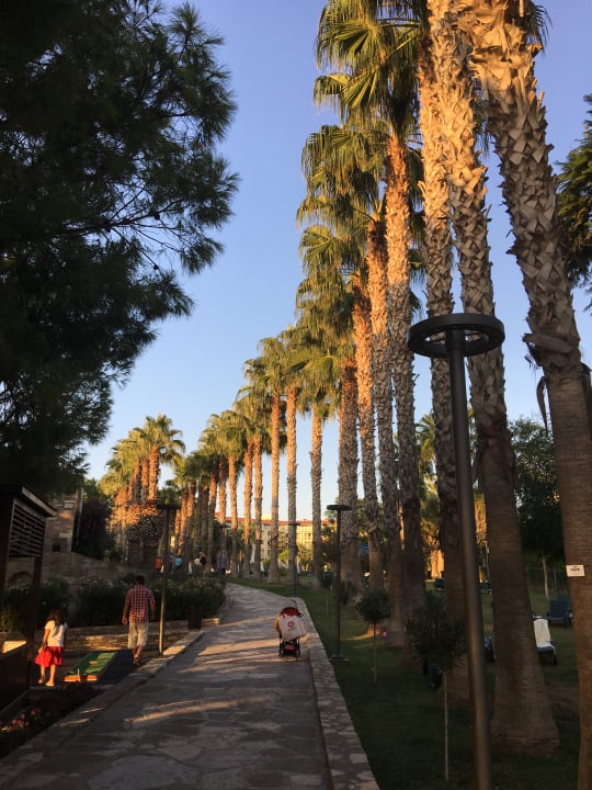 Gartenanlage Arum Barut Collection