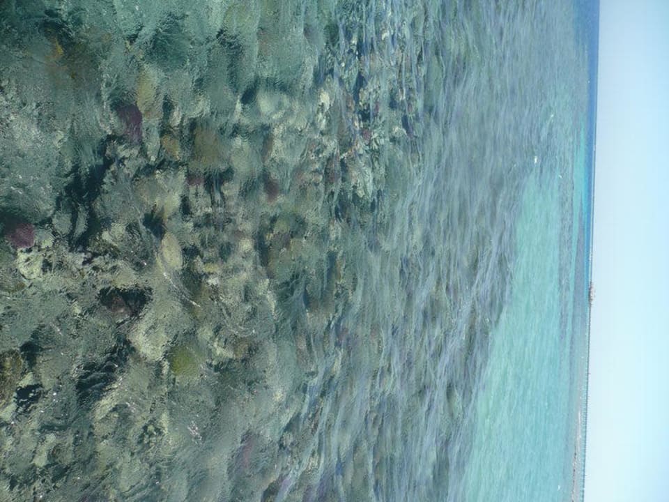 Hausriff Cleopatra Luxury Resort Makadi Bay