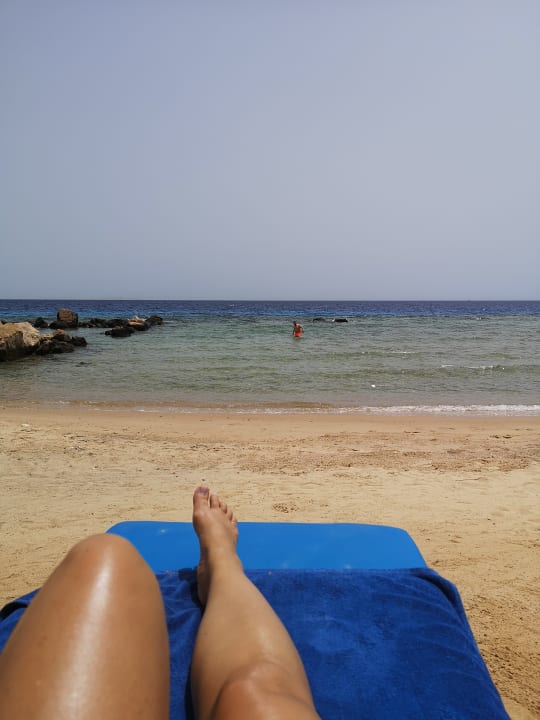 Außenansicht Pickalbatros Citadel Resort