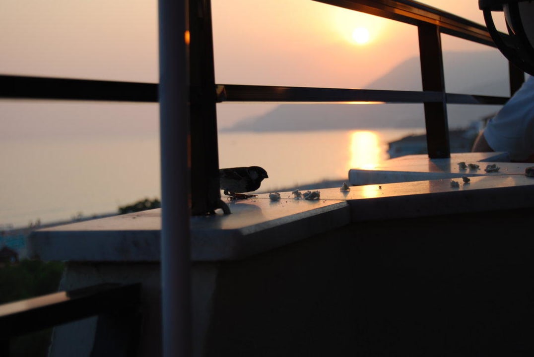 unsere Abendgäste Gardenia Hotel