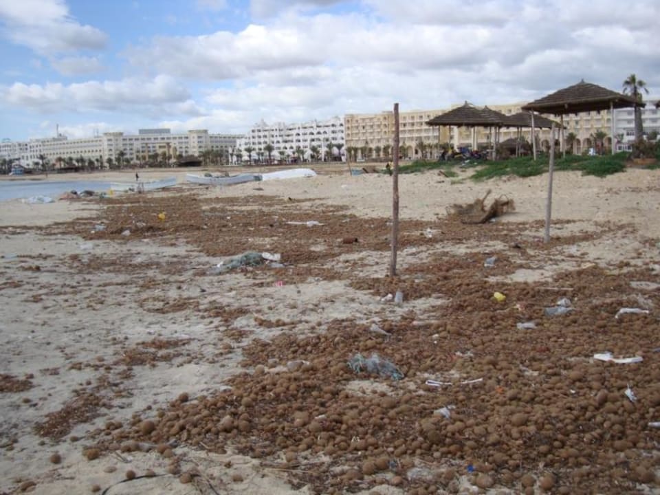 Strand stark beschmutzt, ca. Fußweg 10 Minuten  Houda Yasmine Marina & Spa