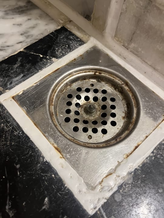 Zimmer Calimera Blend Paradise