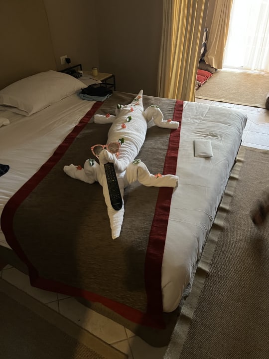 Zimmer Jaz Makadi Oasis Resort