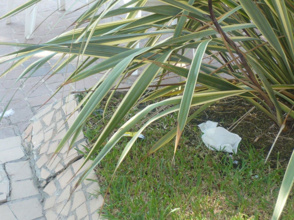 Becher Calimera Fido Gardens