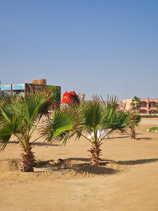 Strand Three Corners Happy Life Beach Resort