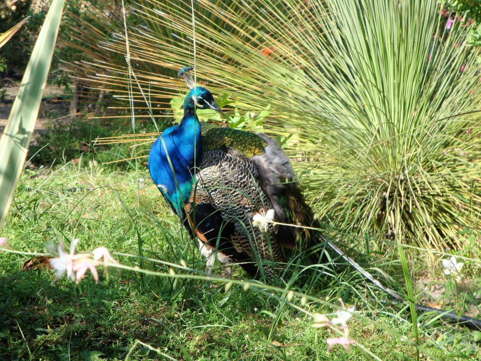 Sport & Freizeit Hotel Makryammos Bungalows
