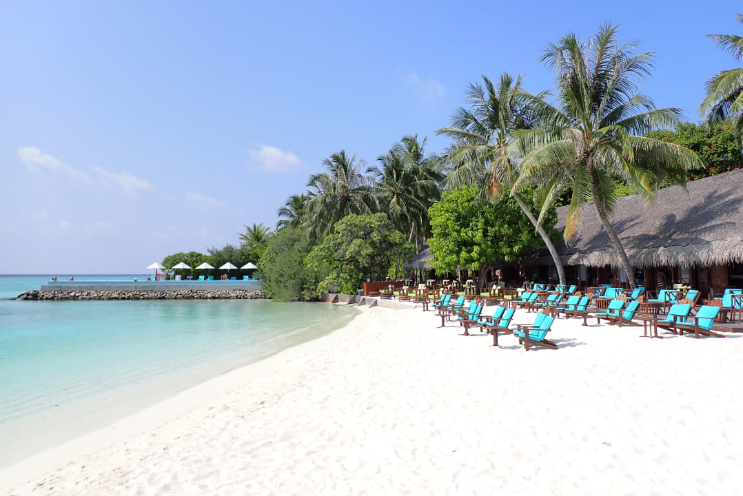 Gastro Summer Island Maldives