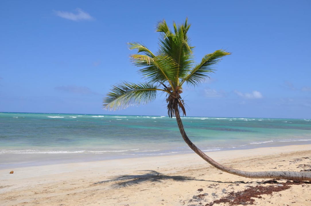 100m  nach rechts  Grand Sirenis Punta Cana Resort & Aquagames