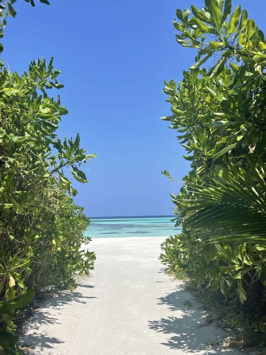 Ausblick Le Meridien Maldives Resort & Spa