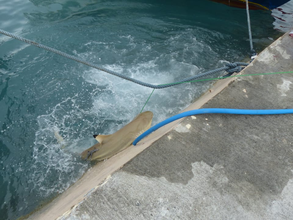 Sonstiges Adaaran Select Hudhuran Fushi - Premium All Inclusive