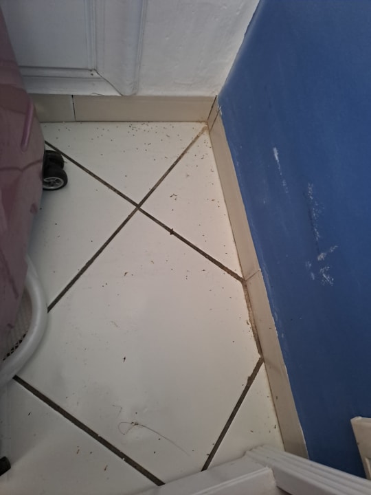 Zimmer Hotel Nesrine